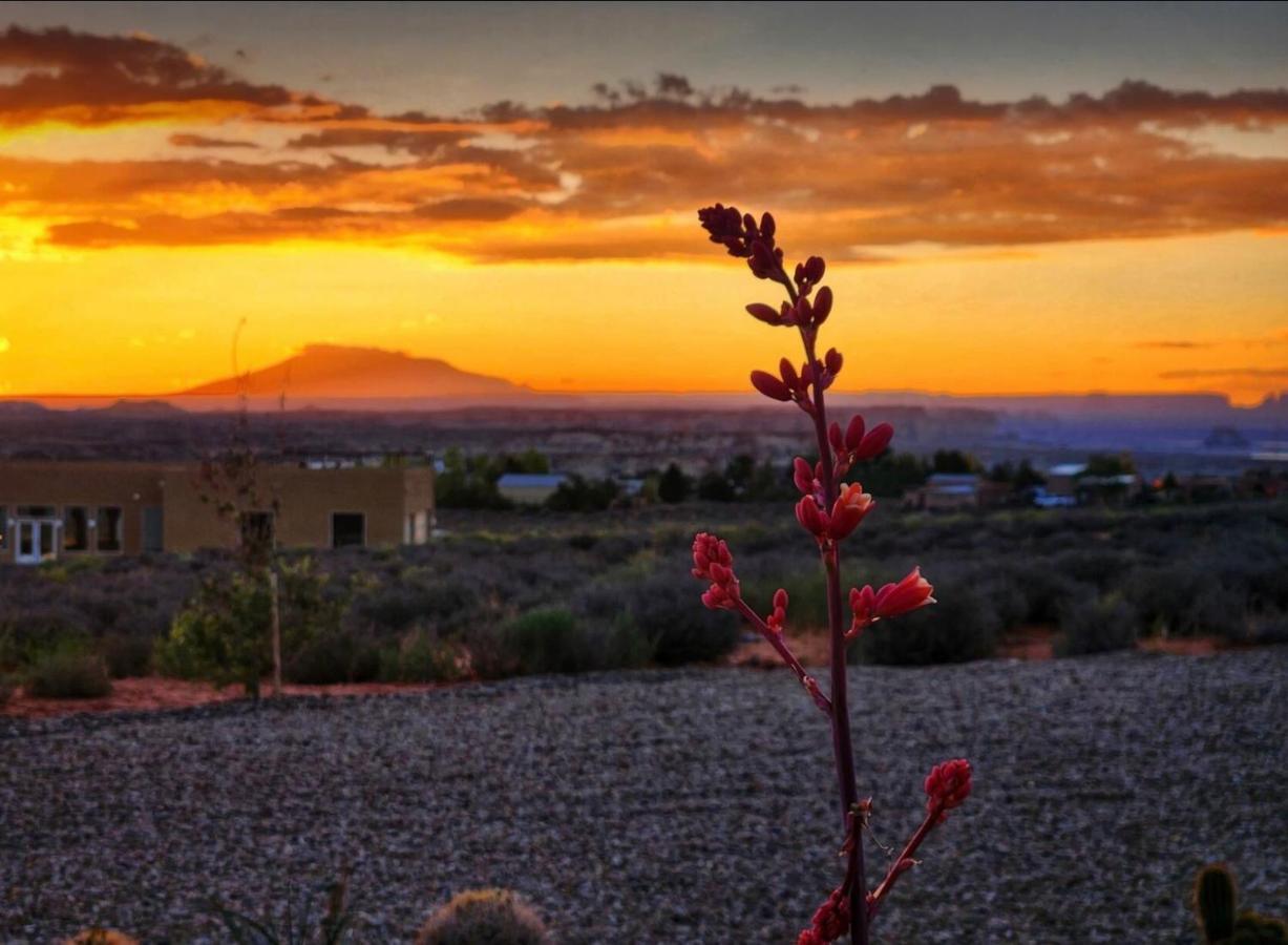 Canyon Oasis Suite With Grand Mesa View บิ๊ก วอเตอร์ ภายนอก รูปภาพ